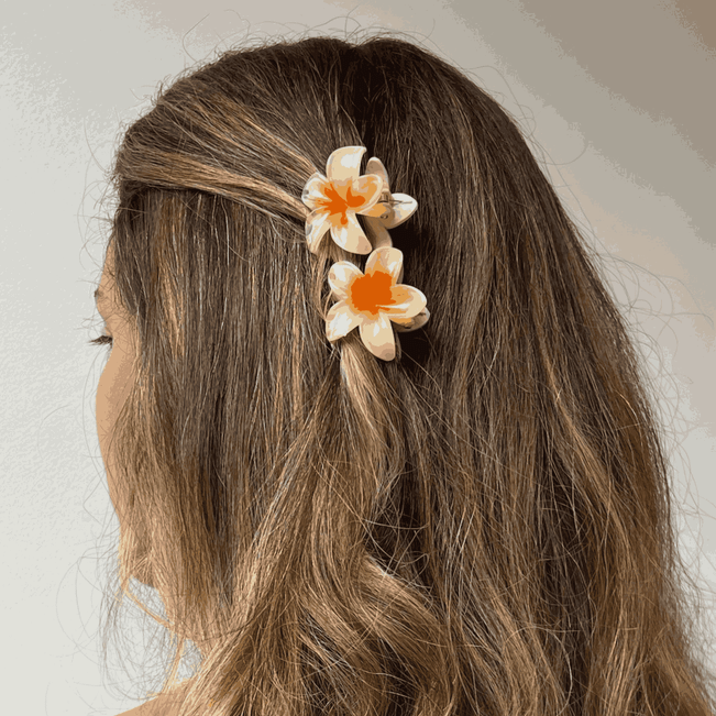 Kit Prendedor de Cabelo Florzinhas