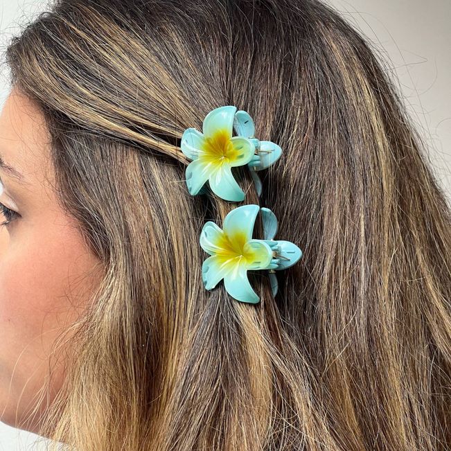 Kit Prendedor de Cabelo Florzinhas