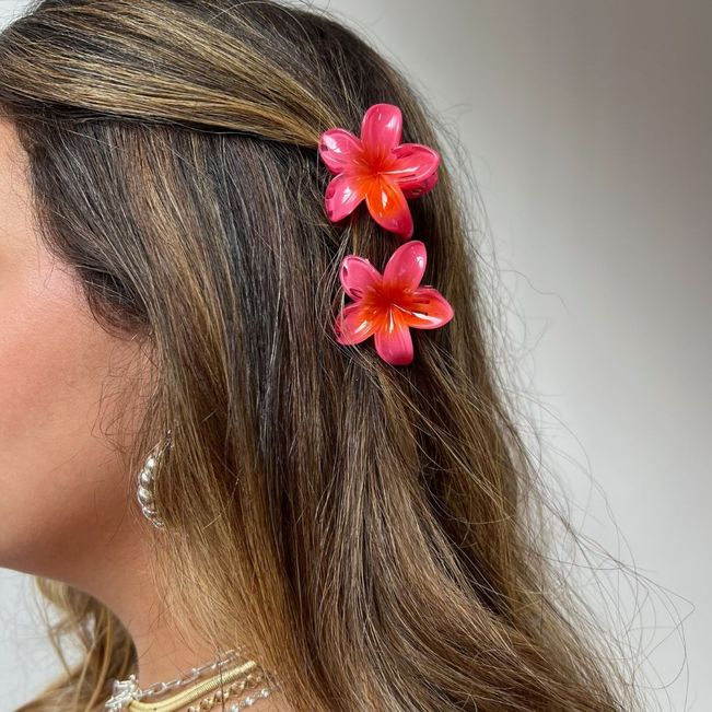 Kit Prendedor de Cabelo Florzinhas
