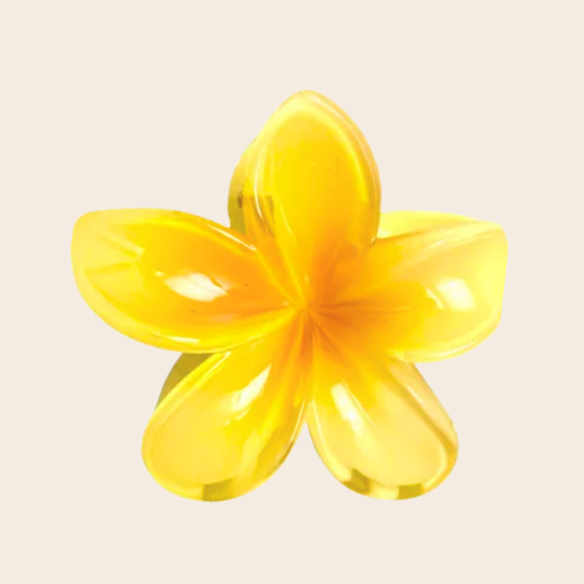 Prendedor de Cabelo Flor 