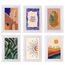Kit de Quadros Decorativos Vida 20x30 cm em Moldura Madeira com Vidro – 6 Unidades