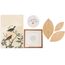 Kit Decorativo de Parede Birds com Quadro Pássaros, Quadro Sêneca, Prato Decorativo e Folhas em Palha