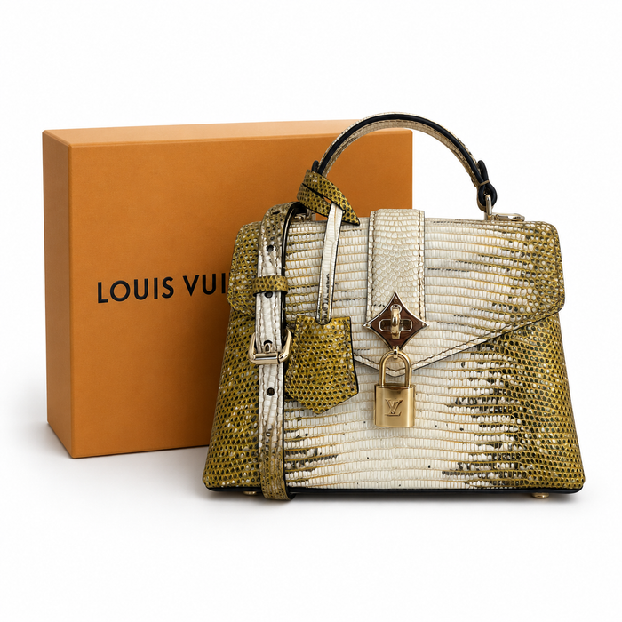 Bolsa Louis Vuitton