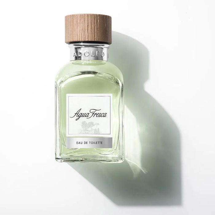 Agua Fresca For Him Adolfo Dominguez Perfume Masculino Eau de Toilette 120ml