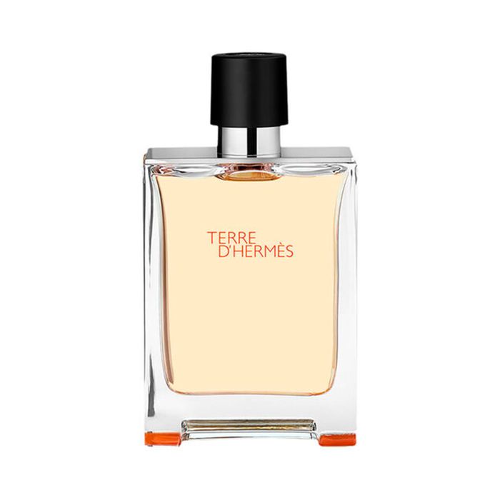 Terre D'Hermès Perfume Masculino Eau de Toilette 100ml