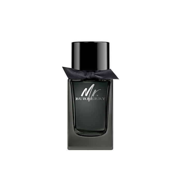 Mr. Burberry Perfume Masculino Eau de Parfum 100ml