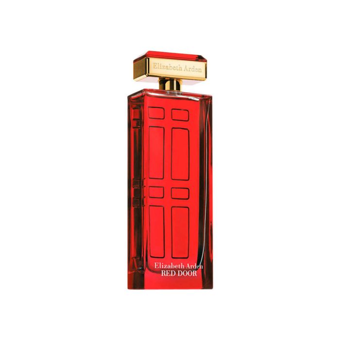 Red Door Elizabeth Arden Perfume Feminino Eau de Toilette 100ml