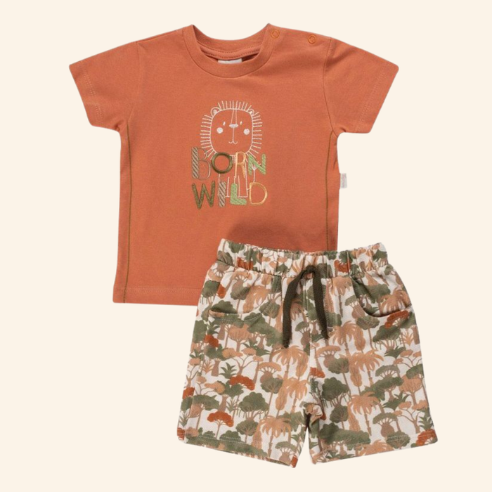 CONJUNTO CURTO BEBÊ MENINO LEÃOZINHO