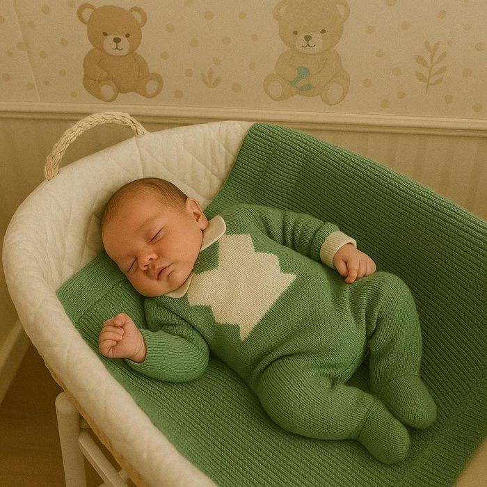  SAÍDA DE MATERNIDADE MENINO THEO