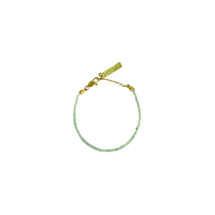 PULSEIRA DILA