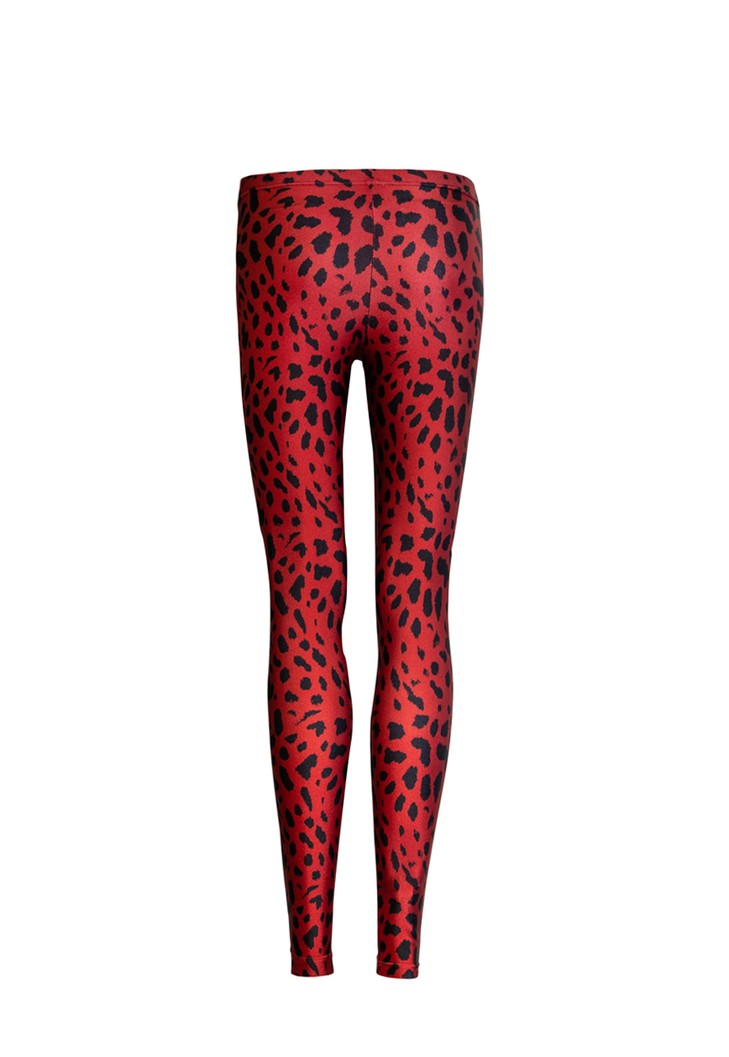 Imagem do produto Legging Estampada Leopard Rubi
