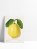 Mini Poster Fruit