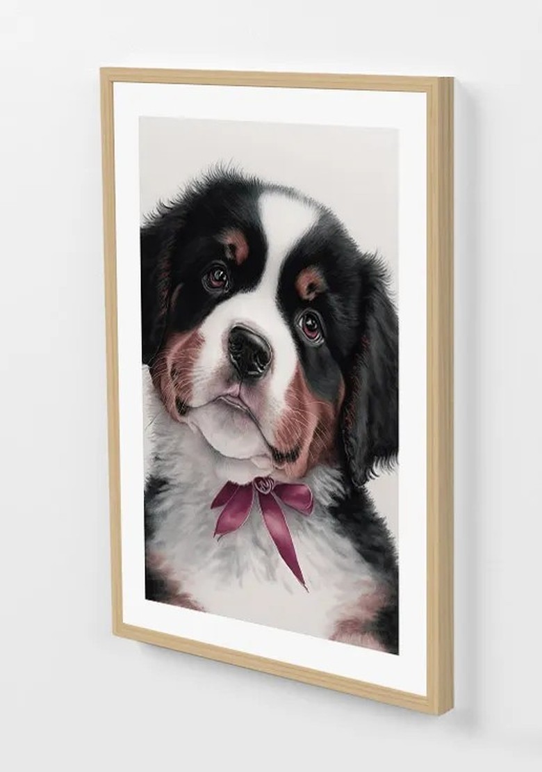 Quadro Bernese Mountain Filhote 