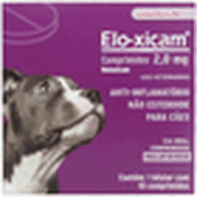 Elo-xicam 2mg caixa com 10 comprimidos