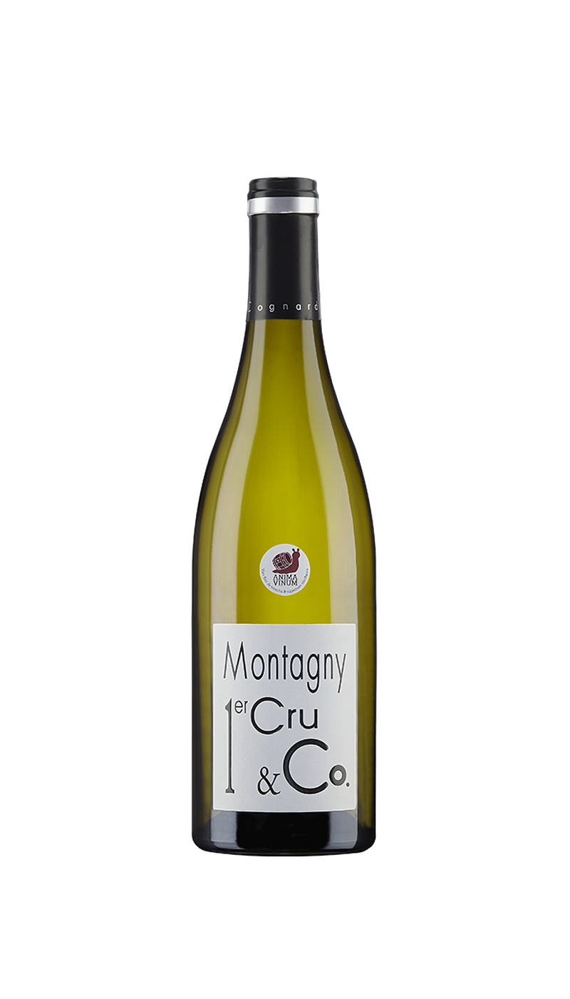 Vinho Branco Montagny 1er Cru & Co