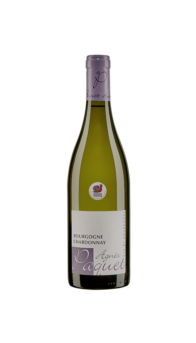 Vinho Branco Bourgogne Chardonnay