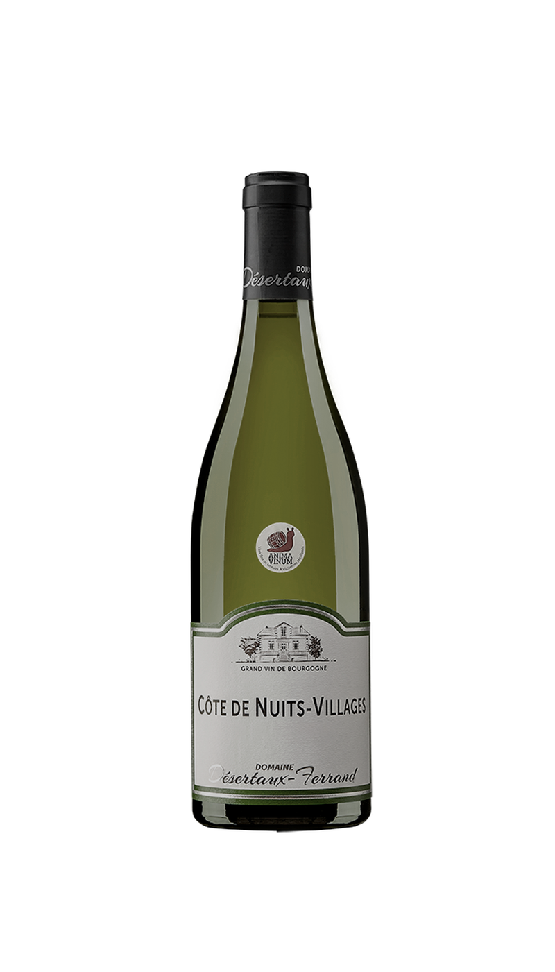 Vinho Branco Côte de Nuits-Villages Vieilles Vignes