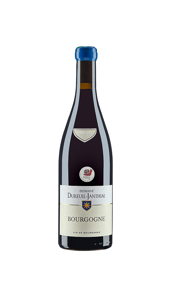 Vinho tinto Bourgogne Pinot Noir