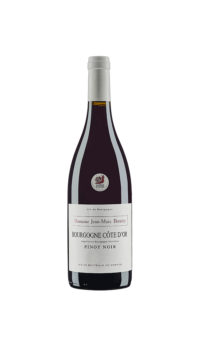 Vinho Tinto Bourgogne Côte D'or Pinot Noir