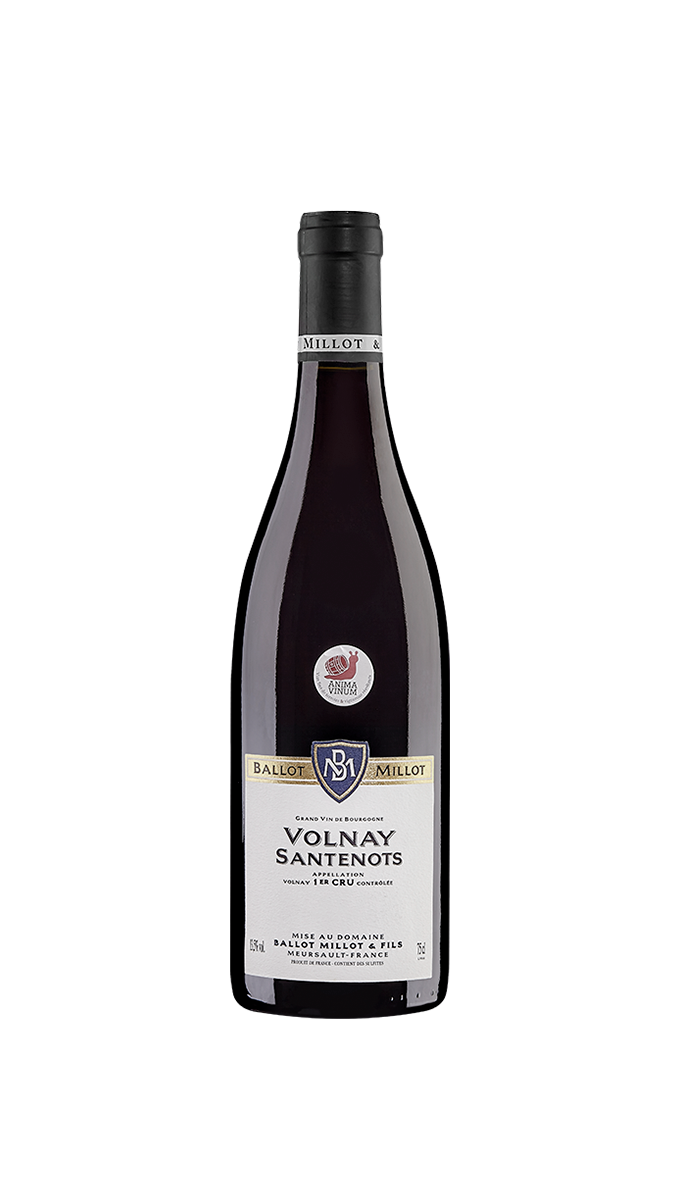 Vinho Tinto Volnay 1er Cru Santenots