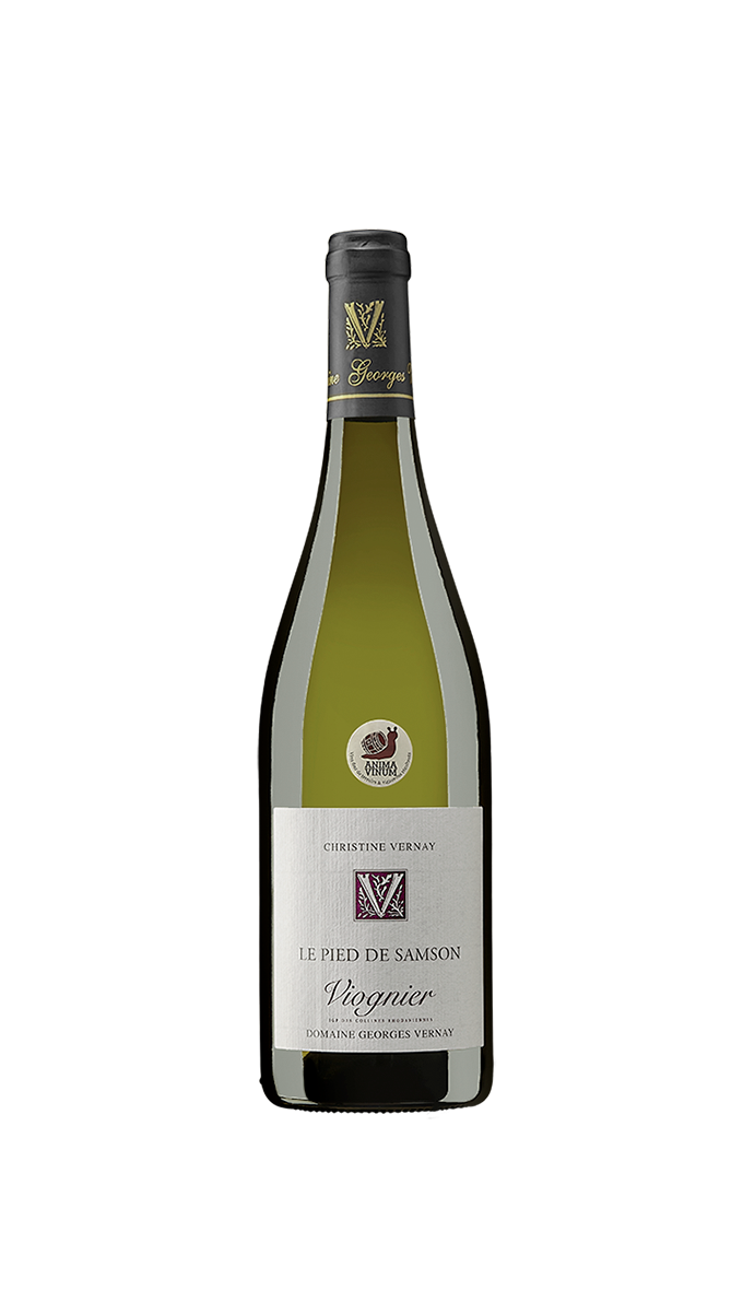 Vinho Branco Le Pied de Samson