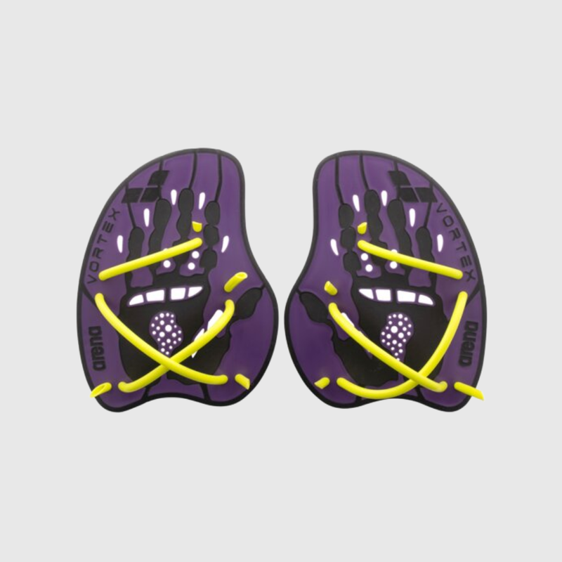 Palmar Vortex Evolution arena