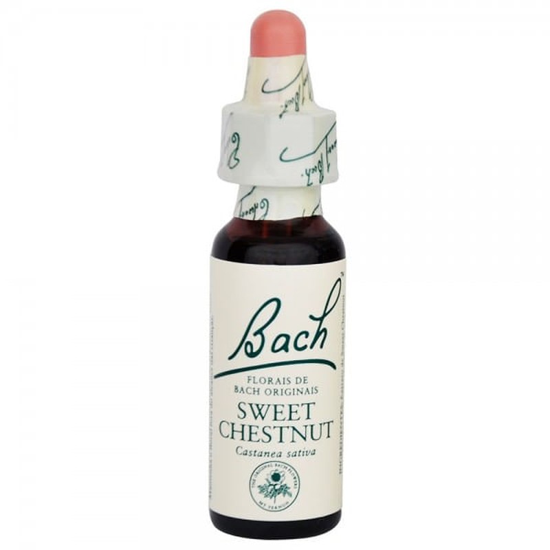 Sweet Chestnut Solucao Stock de Bach Original 10mL