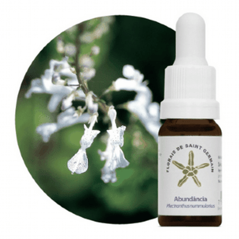 Floral de Saint Germain Abundância - Essencia Estoque 10mL