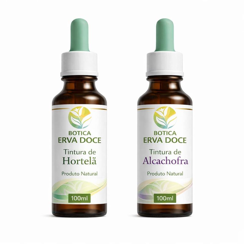 Kit Digestão Leve Hortelã Alcachofra