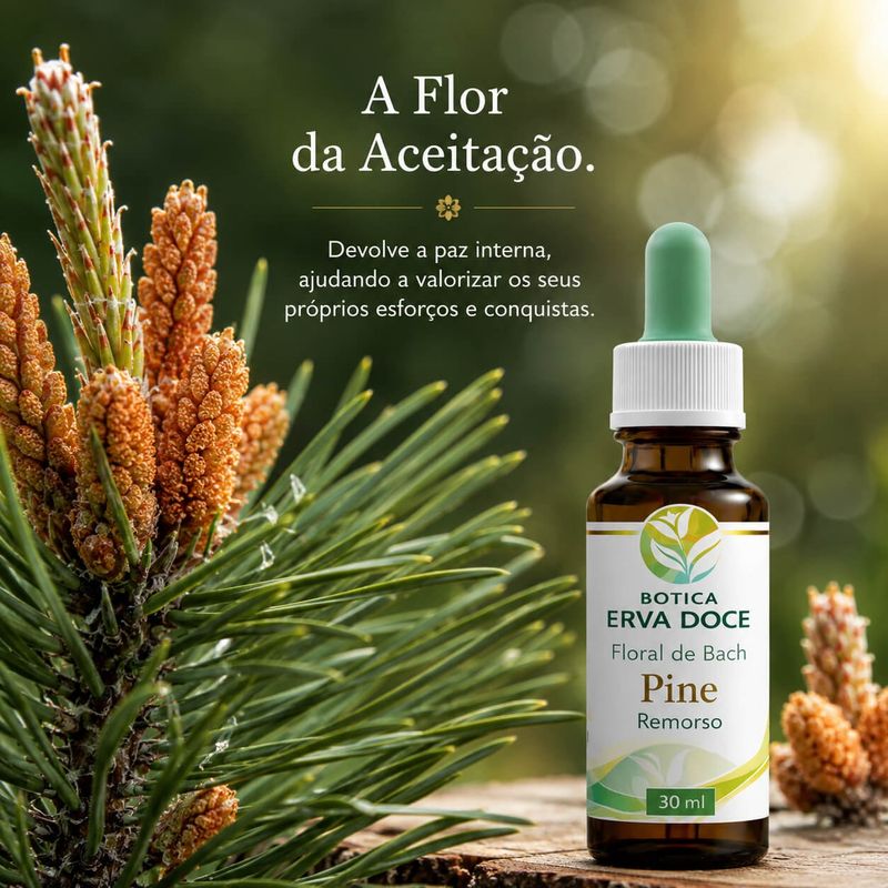 Floral de Bach Pine Remorso 30ml