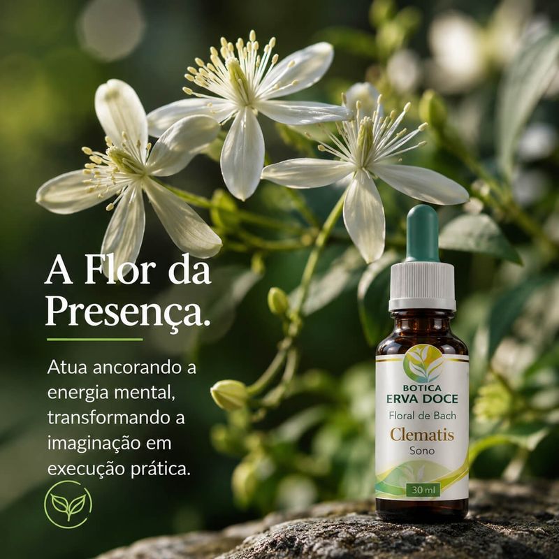 Floral de Bach Clematis Sonolência 30ml