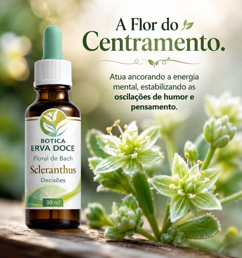 Floral de Bach Scleranthus Decisões 30ml