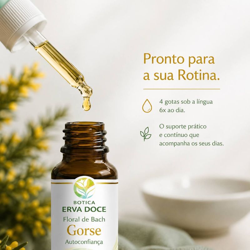 Floral de Bach Gorse Autoconfiança 30ml