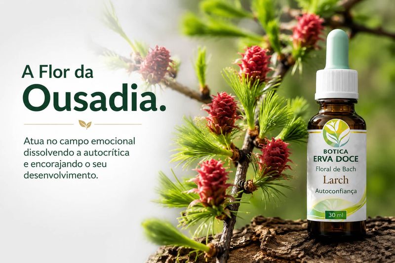 Floral de Bach Larch Autoconfiança 30ml