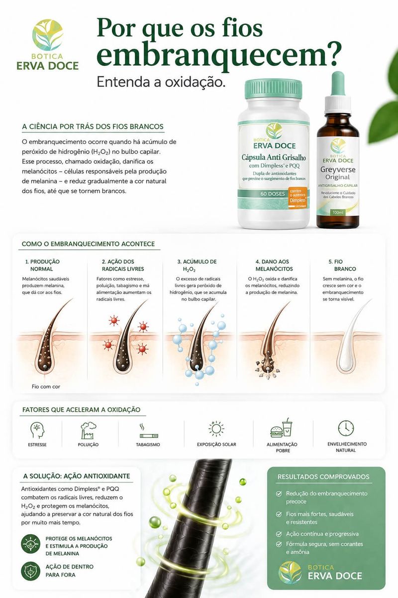 Kit Cabelo Reversão da Cor: Greyverse + Dimpless e PQQ