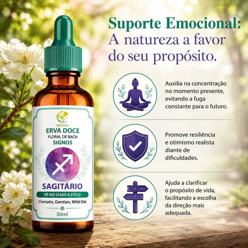 Floral de Bach Signos Sagitário - Pé no Chão e Foco 30 ml