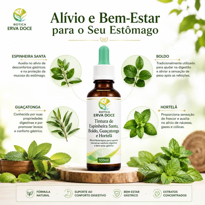 Tintura Espinheira Santa, Boldo, Guaçatonga e Hortelã 100ml