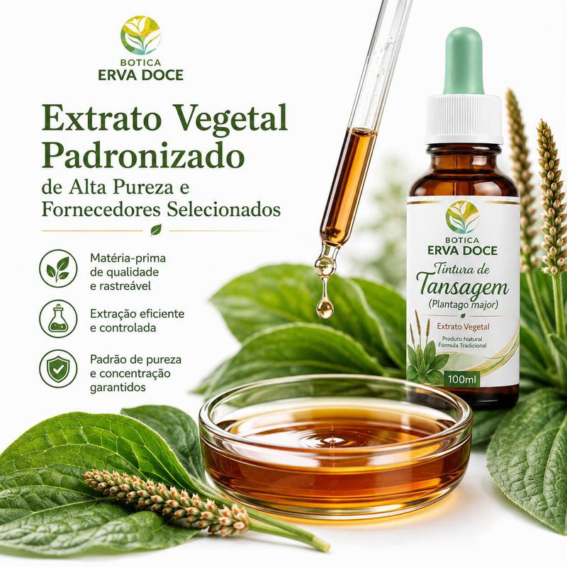 Tintura de Tansagem (Plantago major) – Extrato Vegetal 100ml