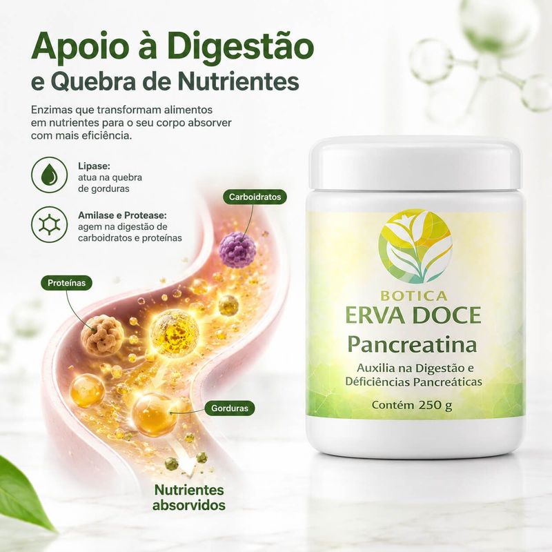 Pancreatina – Enzimas Digestivas Essenciais 250 gramas