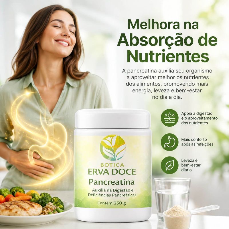 Pancreatina – Enzimas Digestivas Essenciais 250 gramas