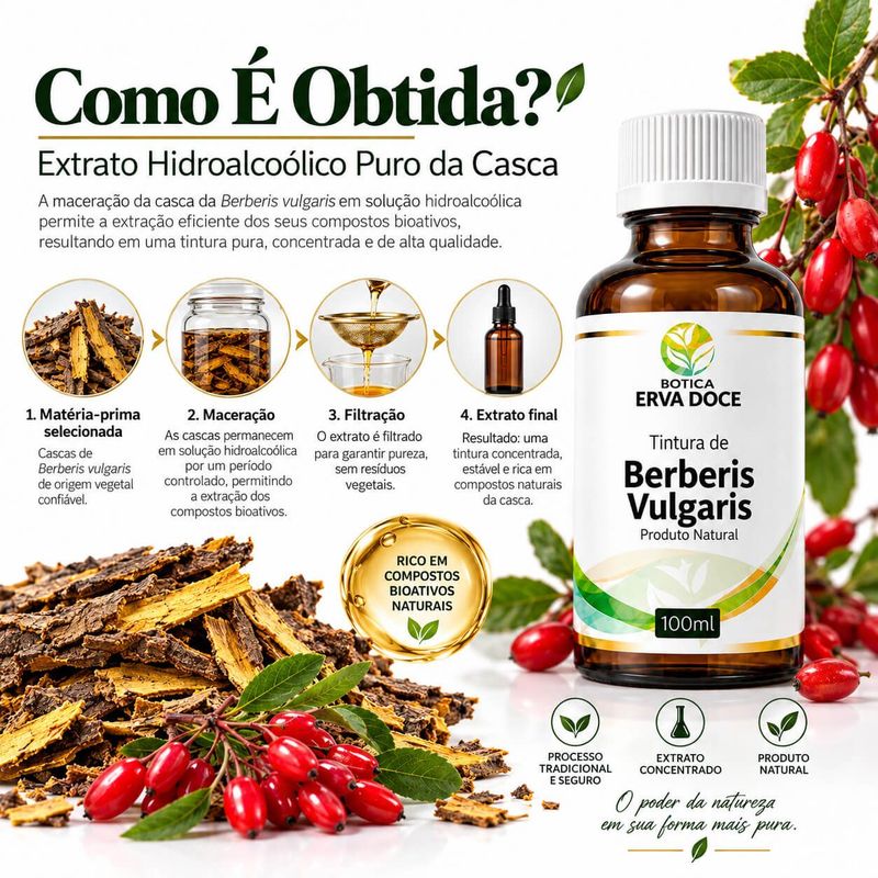 Tintura de Berberis Vulgaris 100ml