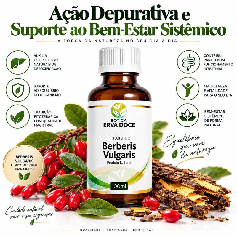 Tintura de Berberis Vulgaris 100ml