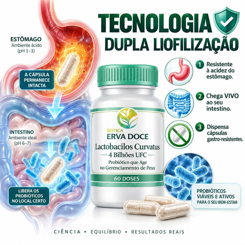 Lactobacilos Curvatus 4 Bilhoes UFC 60 Doses