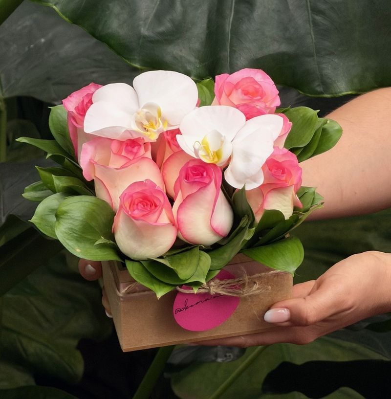Pack Quadrado com Rosas Nacionais