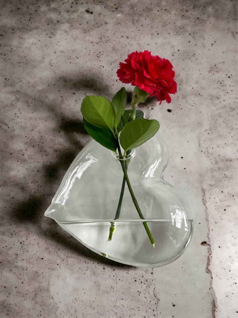 Vaso de parede - coração de vidro
