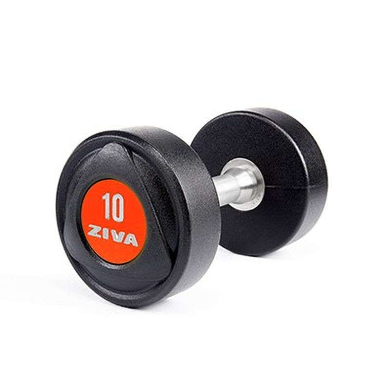 Dumbbell New SL18 3.0 PU Inox Vermelho