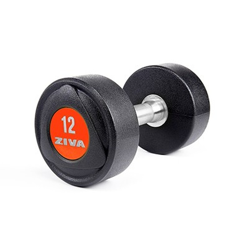 Dumbbell New SL18 3.0 PU Inox Vermelho