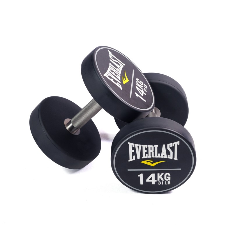 Dumbbell PU Everlast