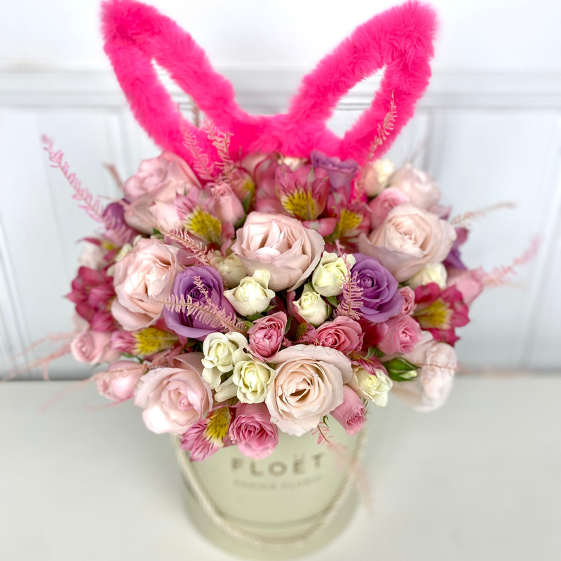  Flowerbox Renascer 