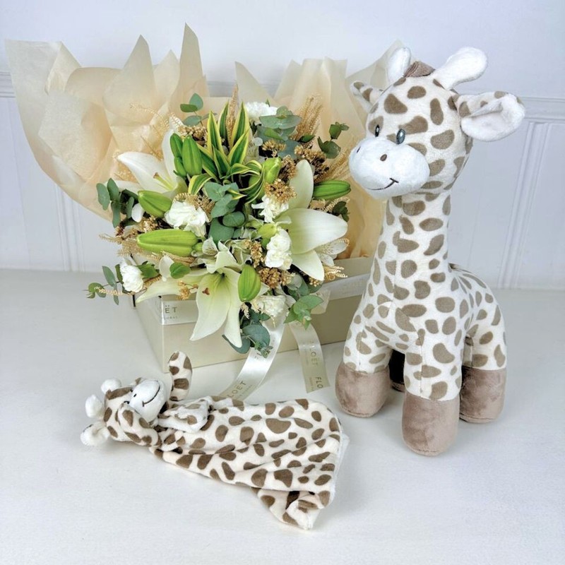 Box Luxe Baby Little Giraffe